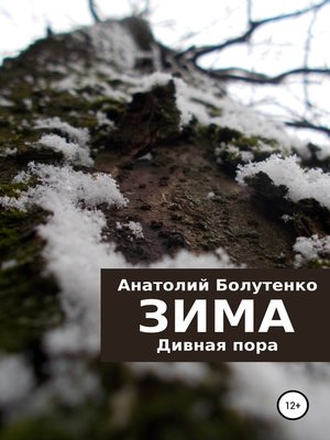 cover image of Зима. Дивная пора